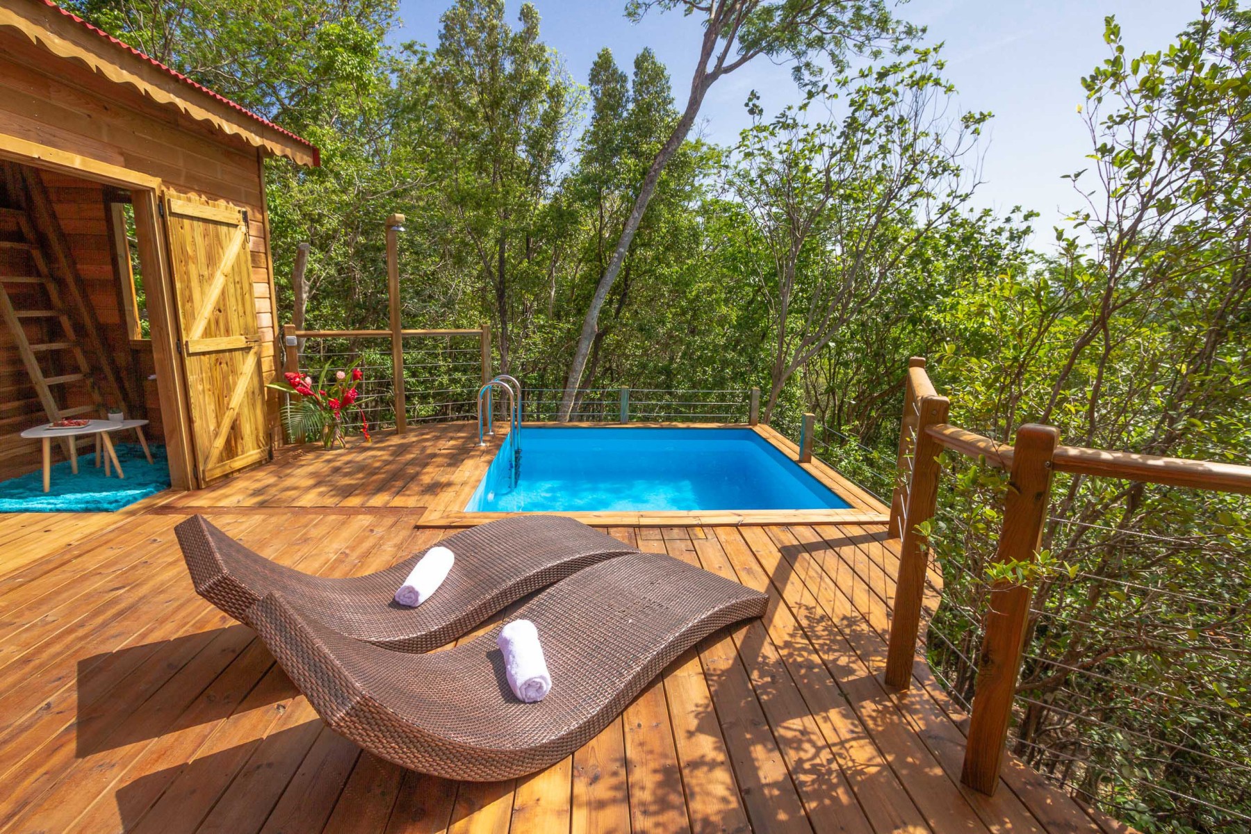 Jungle Lodge